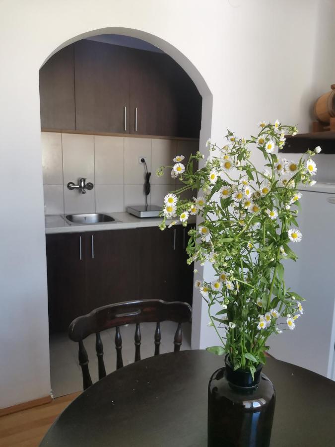 Faris Apartment Donji Milanovac Bagian luar foto