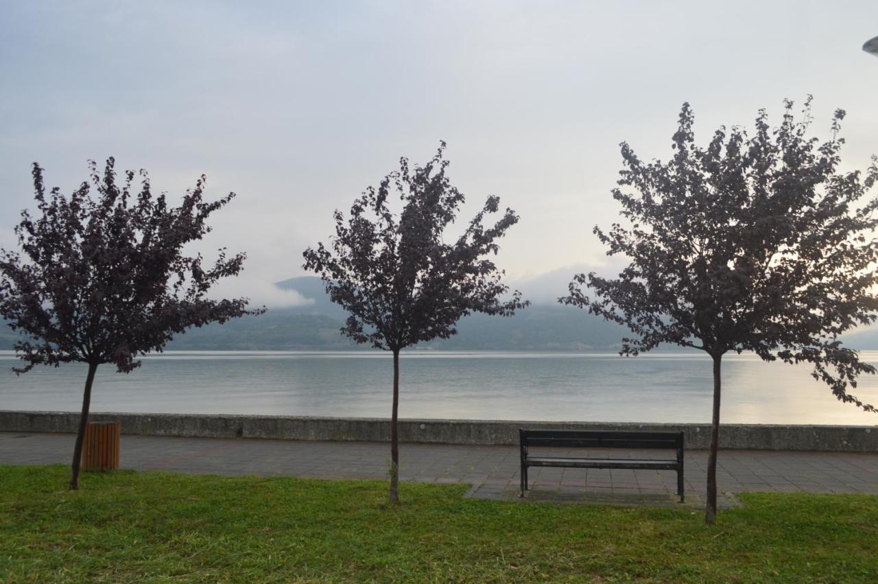 Faris Apartment Donji Milanovac Bagian luar foto